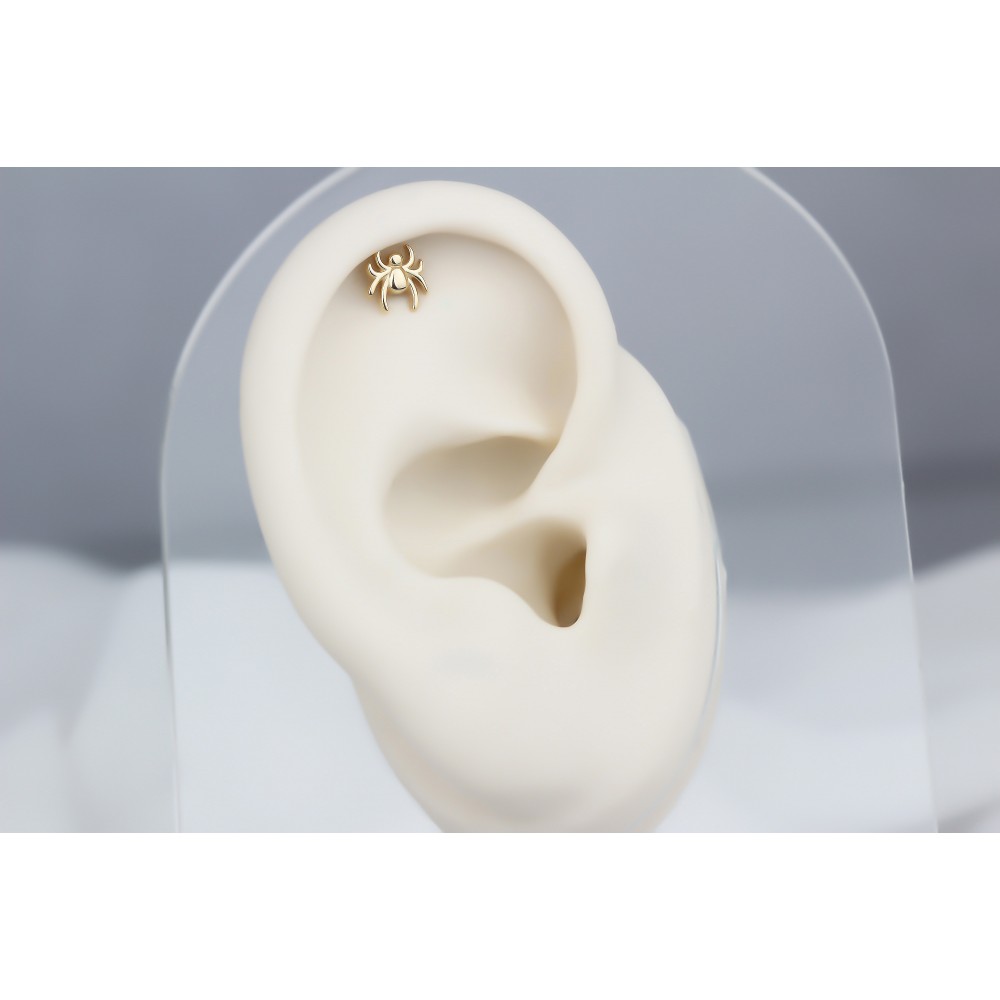 Glorria 14k Solid Gold Spider Helix Piercing