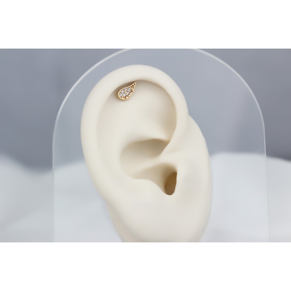 Glorria 14k Solid Gold Angel Wing Helix Piercing