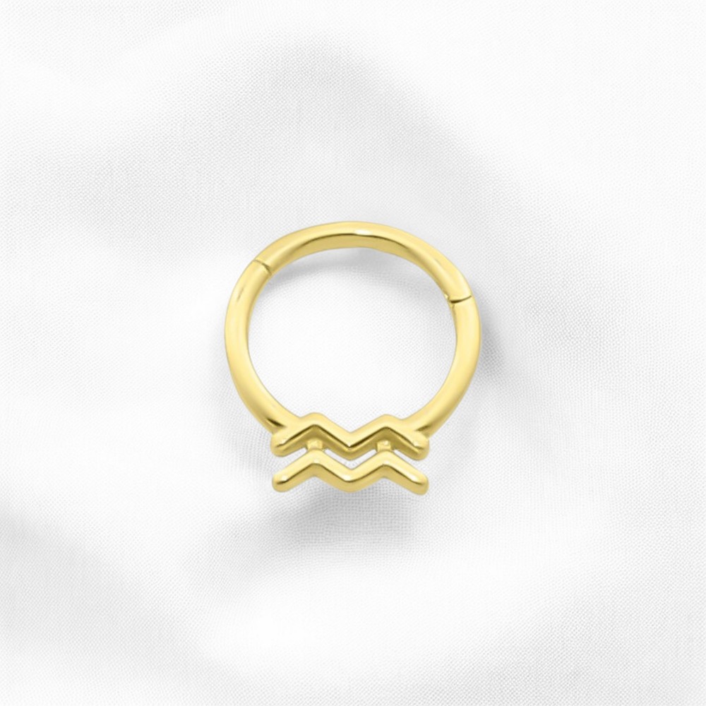 Glorria 14k Solid Gold Aquarius Ring Helix Piercing