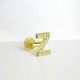 Glorria 14k Solid Gold Letter Z Tragus Piercing