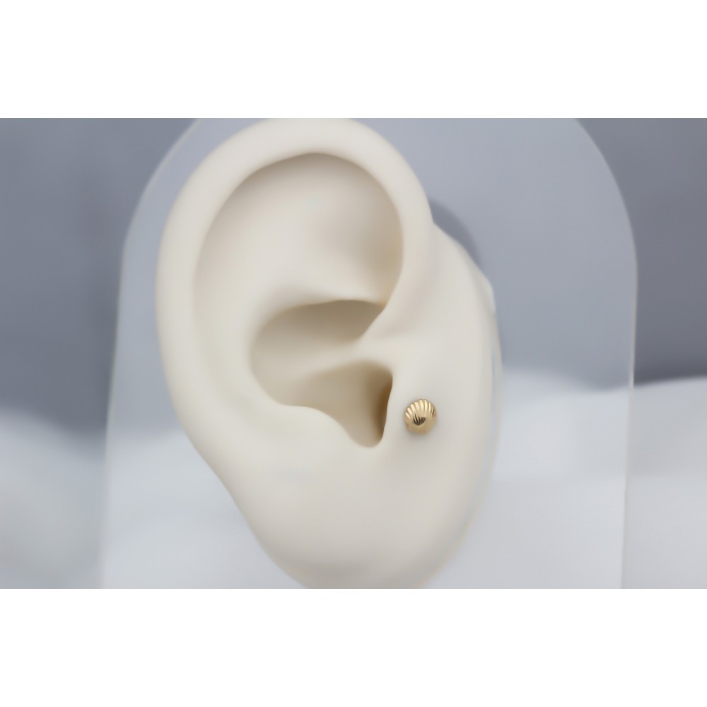 Glorria 14k Solid Gold Shell Tragus Piercing