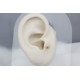 Glorria 14k Solid Gold Shell Tragus Piercing