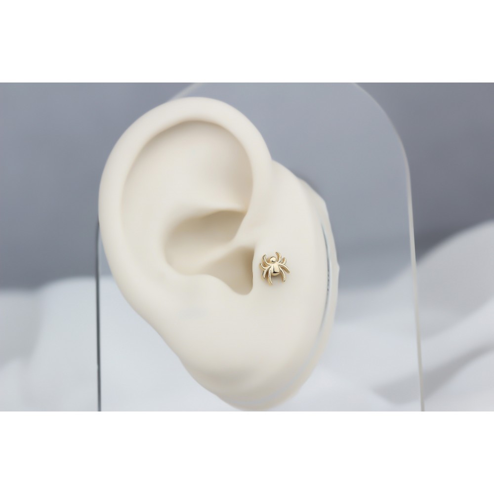 Glorria 14k Solid Gold Spider Tragus Piercing